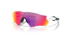 Oakley Radar® Ev S Path Sunglasses In Multi