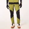 Oakley Seeker Airline Pant In Fern