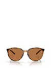 Oakley Eyewear In Polished Brown Tortoise