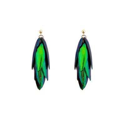 Oanasavu.creations Women's Beetle Wings Metallic Green Natural Recycled Scarab Wings & Gold Earrings