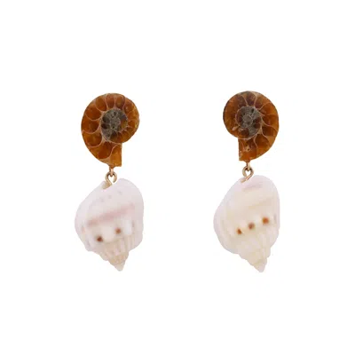 Oanasavu.creations Women's Gold / White / Brown Ammonite Fossils White Seashells Shells Earrings Gold Studs In Multi