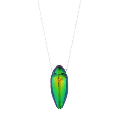 Oanasavu.creations Women's Green / Silver Sterling Silver Necklace Real Beetle Insect Pendant