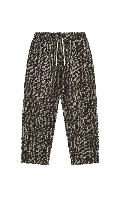 Oas Ayora Pants In Dark Brown