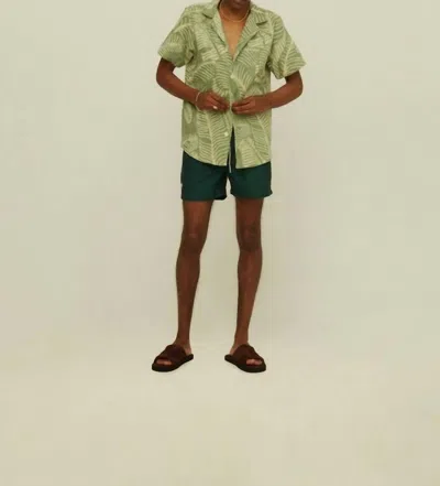 Oas Banana Leaf Cuba Terry Shirt In Green In Multi
