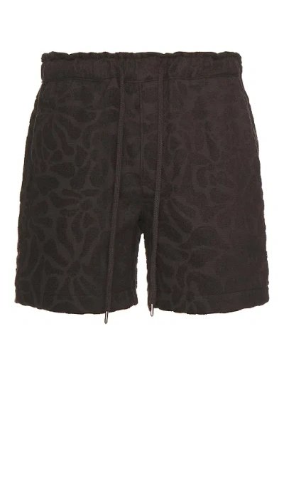 Oas Blossom Terry Short In Brown