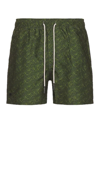 Oas Swim Shorts In Green