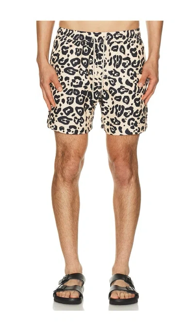 Oas Leo Swim Shorts In Animal Print