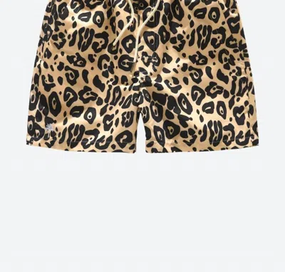 Oas Leo Swim Shorts In Leopard In Black