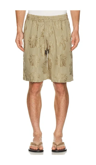 Oas Nicola Shorts In Gray