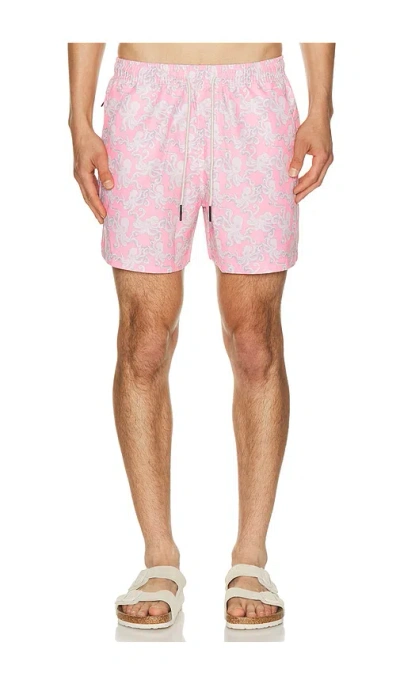 Oas Pink Octo Swim Shorts