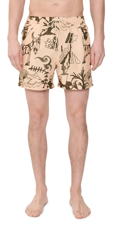 Oas Poplan Swim Shorts Beige In Brown