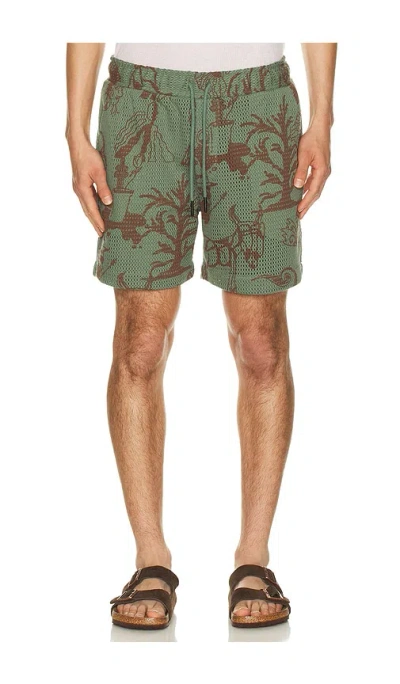Oas Porto Shorts In Green