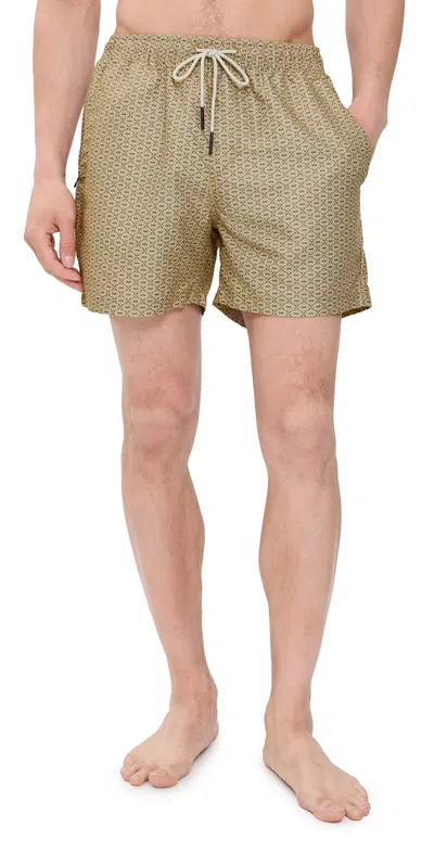 Oas Rinho Swim Shorts 4 Lt-brown In Multi