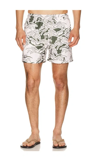 Oas Rogue Swim Shorts In Multi