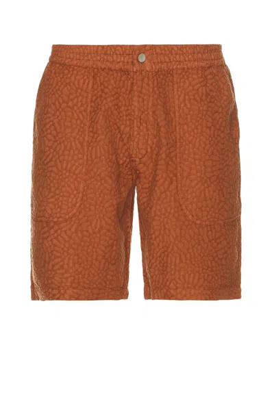 OAS TERRACOTTA TURLEO NICO SHORTS