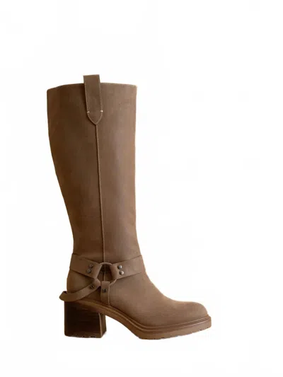 Oasis Society Women's Leanne Moto Knee High Boot In Dark Taupe In Brown