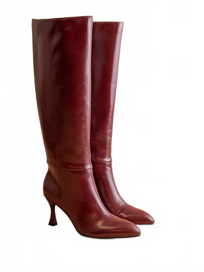 Oasis Society Women's Lexington Pointed Toe Knee High Boot In Burgundy Wine In Multi