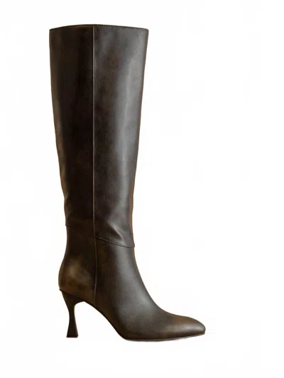Oasis Society Women's Lexington Pointed Toe Knee High Boot In Distress Black In Brown