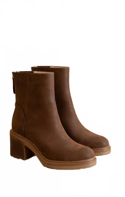 Oasis Society Women's Megan Lug Chelsea Boots In Coffee In Multi