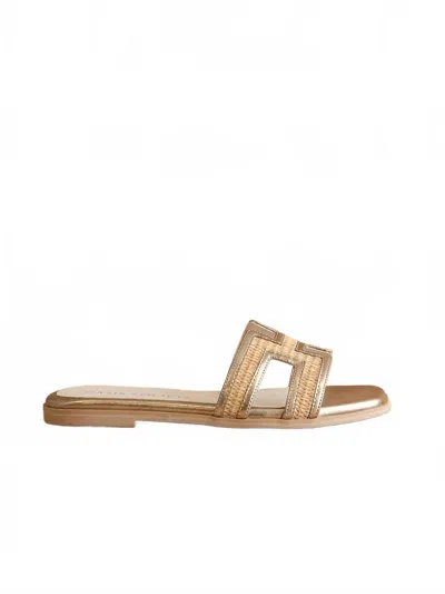 Oasis Society Women Nina H Cutout Raffia Slide In Gold In Multi