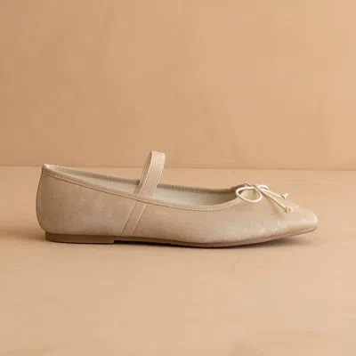 Oasis Society Women's Studio Ballet Flat In Beige In Neutral