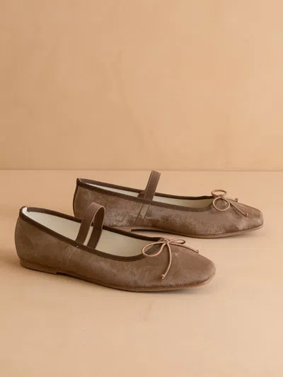 Oasis Society Women's The London Ballet Flat In Coffee In Brown