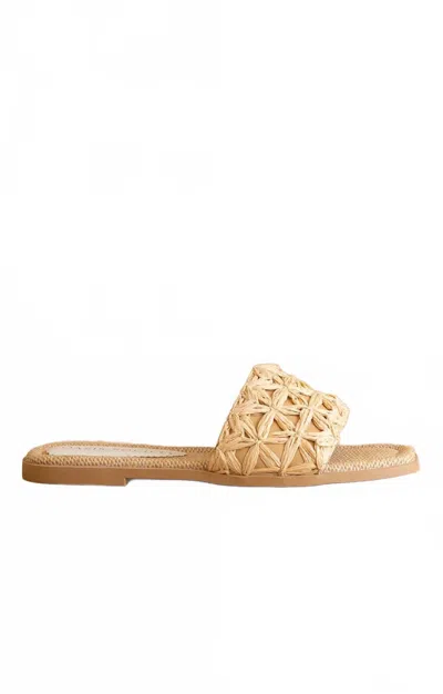 Oasis Society Women's The Natasha Raffia Slide In Natural In Neutral
