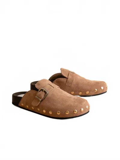 Oasis Society Women's Toni Studded Buckle Clog In Latte In Brown