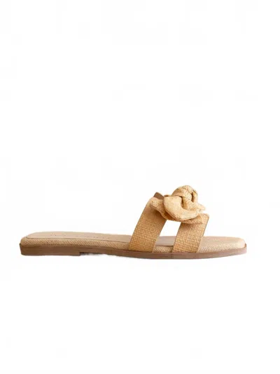 Oasis Society Women's Woven Bow Flat Sandal In Natural In Brown