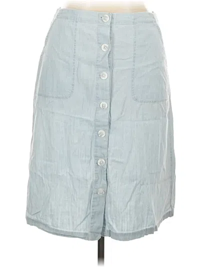 Pre-owned Oat Denim Skirt In Blue