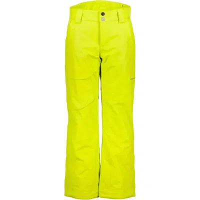 Obermeyer Kids' Boy's Brisk Ski Pants In Electrify In Multi