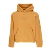 Obey Asher Hood Specialty Fleece Women's Hoodie Brown Sugar In Brown Sugar