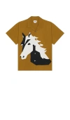 Obey Beau Horse Short Sleeve Shirt In Breen Multi