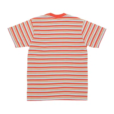 Obey Doe Pocket Tee Roobios Men's T-shirt Multi