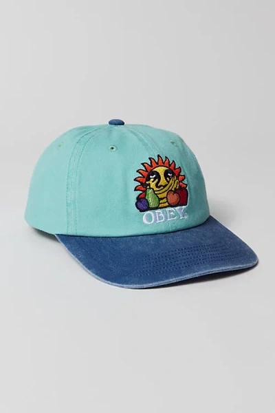 Obey Fruits Pigment Dye 6-panel Hat In Blue, Men's At Urban Outfitters