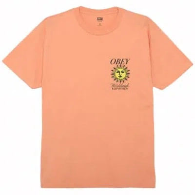 Obey Illumination T-shirt In Citrus