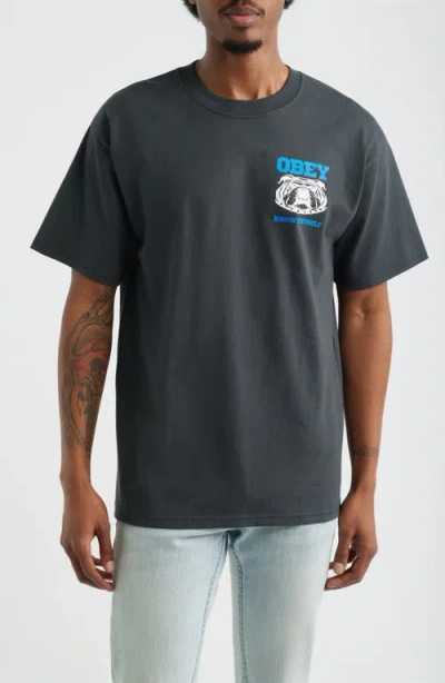 Obey Know Thyself Graphic T-shirt In Gray