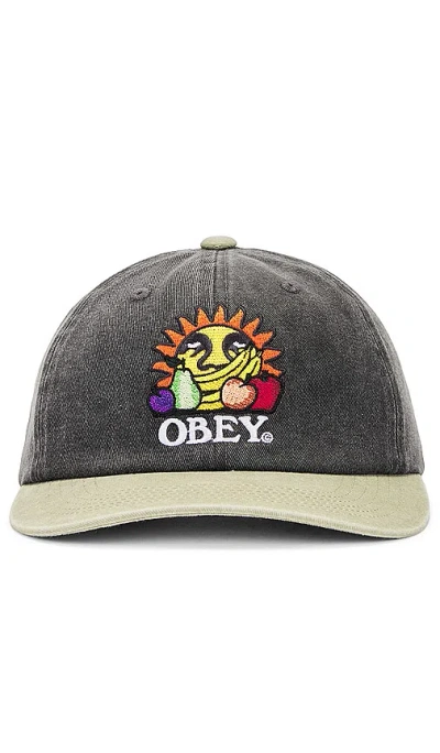Obey Pigment Fruits 6 Panel Snapback In Pigment Black Multi