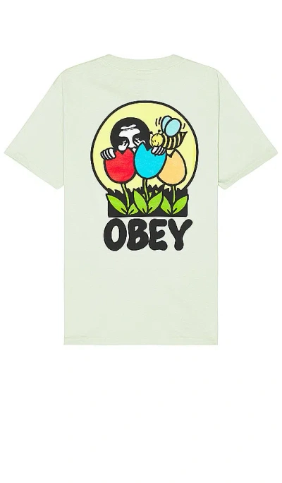 Obey Was Here Tee In Cucumber