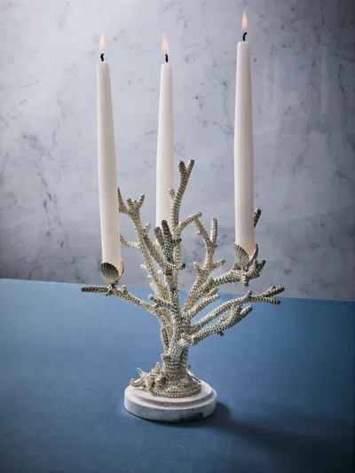 Objet Luxe Coral And Clam Shells Mother-of-pearl And Silver-plated Candle Holder