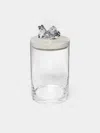 Objet Luxe Silver-plated, Shell And Glass Jar In Transparent