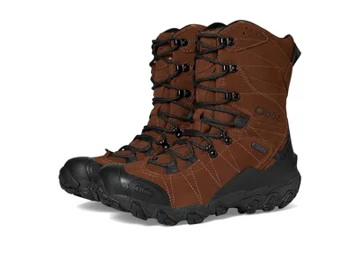 Oboz Bridger 10 Insulated B-dry In Brown
