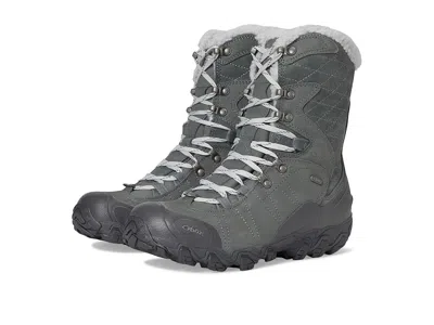 Oboz Bridger 9 Insulated B-dry In Brown