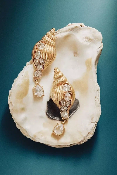 Oceanus Mercenaria Conch Shell Earrings In Gold
