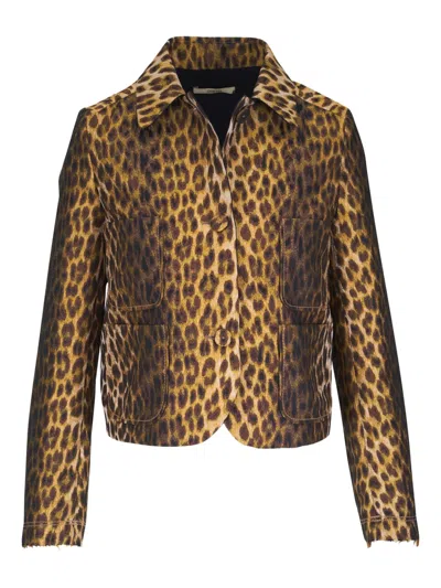 Odeeh Leopard-print Jacket