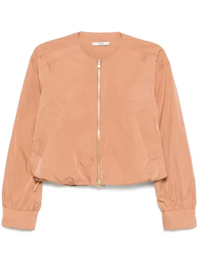 Odeeh Twill Jacket In Brown
