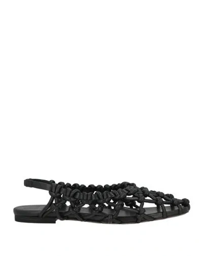 Odissi Braided Flat In Black