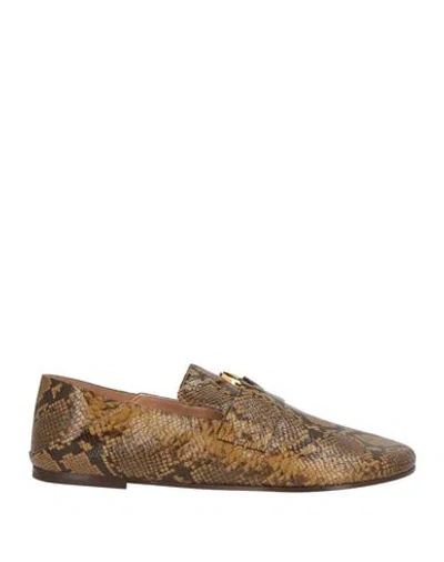 Odissi Odissì Woman Loafers Brown Size 10 Calfskin In Multi