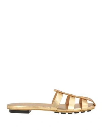 Odissi Odissì Woman Sandals Gold Size 8 Leather