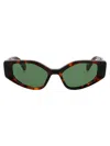 Off-white Acetate Havana  Sunglasses In Brown